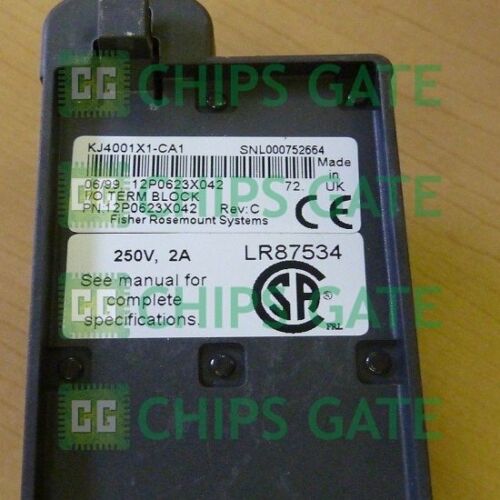 EMERSON DeltaV KJ4001X1-CA1 12P0623X062