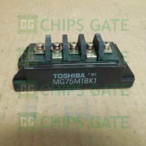 TOSHIBA MG75M1BK1 POWER MODULE