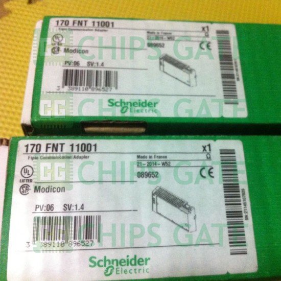 170FNT11001 Schneider