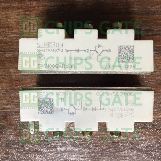 1PCS SKM100GAR123D SEMIKRON MODULE