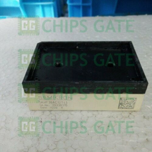SKIIP30AC12T43 Semikron IGBT Module