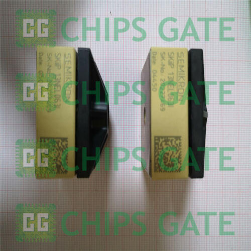SKIIP13NEL063I SEMIKRON MODULE
