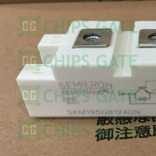 SEMIKRON IGBT Module SKM195GB124DN SKM195GB-124DN