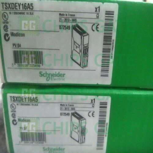 TSXDEY16A5 Schneider PLC