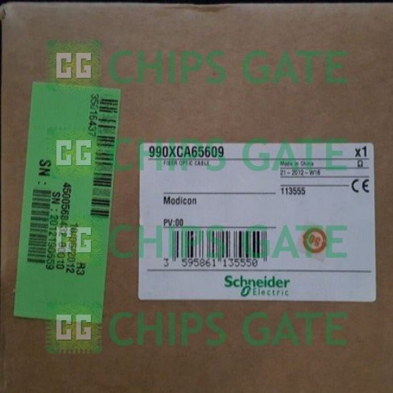 990XCA65609 Schneider