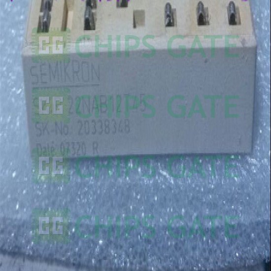 1PCS SKIIP22NAB12T45 SEMIKRON MODULE