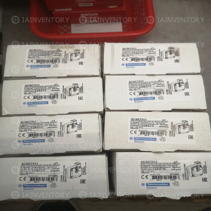 Schneider Safety Interlock XCSE7311